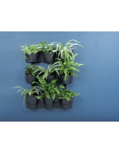 Modułowy ogród wertykalny na ścianę
