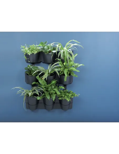 Modułowy ogród wertykalny na ścianę