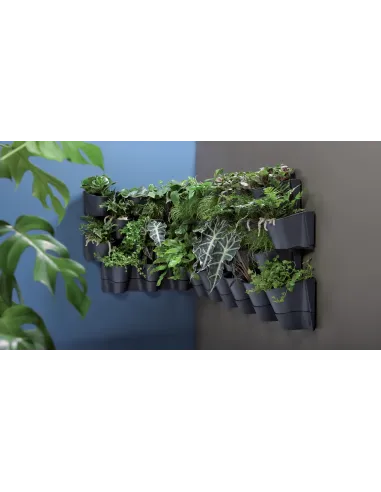 Zielona ściana z wiszącymi doniczkami