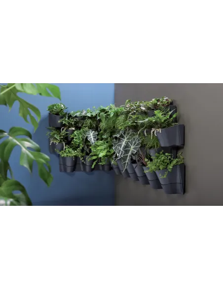 Zielona ściana z wiszącymi doniczkami