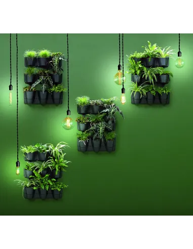 Ogród wertykalny wiszący – 12 doniczek – zielona ściana