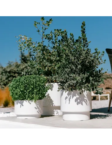 Doniczka Heos 39,5 cm – zielona pinia, wkład, mrozoodporna