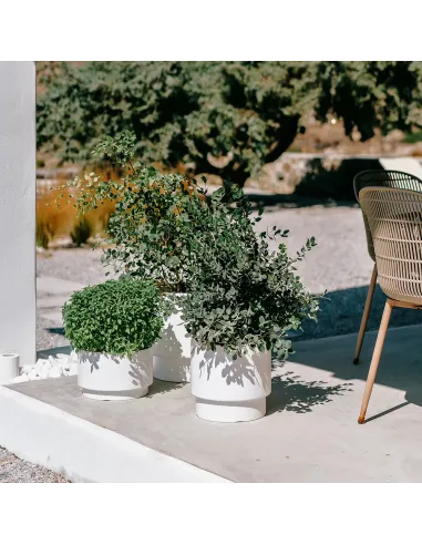 Doniczka Heos 39,5 cm – zielona pinia, wkład, mrozoodporna