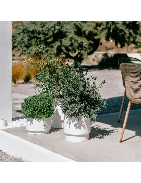 Doniczka Heos 39,5 cm – zielona pinia, wkład, mrozoodporna