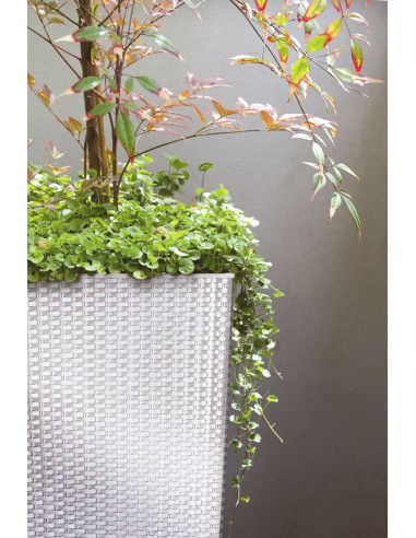 Donica wysoka z fakturą rattanową z wkładem - antracytowa Ratio