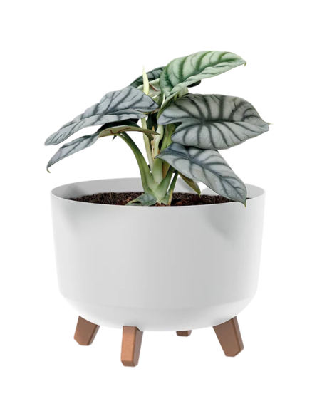 Doniczka z nóżkami Gracja 23,8 cm - biała