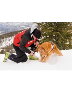 Łopata samochodowa do śniegu TELESKOPOWA 2