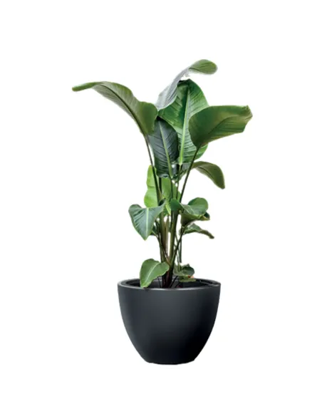 Donica duża mrozoodporna okrągła Hera 57 cm - antracyt