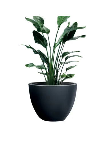 Donica duża mrozoodporna okrągła Hera 57 cm - antracyt