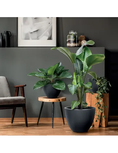 Donica duża mrozoodporna okrągła Hera 57 cm - antracyt