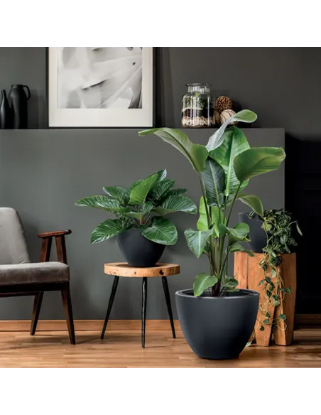 Donica duża mrozoodporna okrągła Hera 57 cm - antracyt