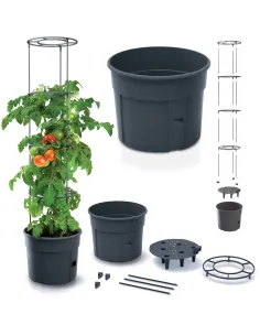 Doniczka do uprawy pomidorów Tomato Grower 2