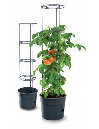 Doniczka do uprawy pomidorów 12L