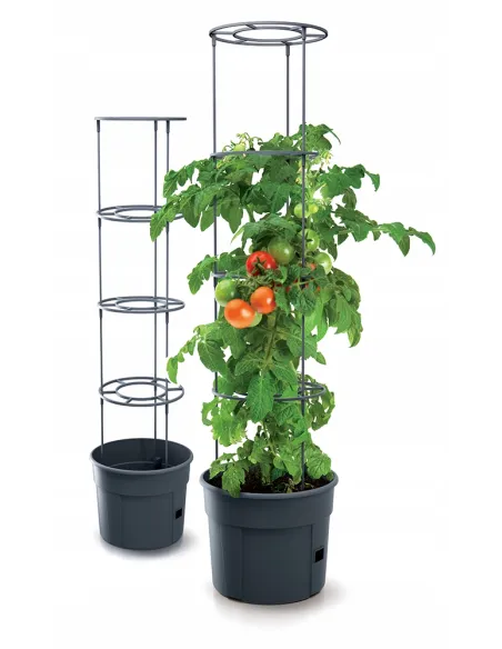 Doniczka do uprawy pomidorów 12L