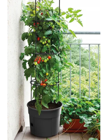 Doniczka do uprawy pomidorów 12L