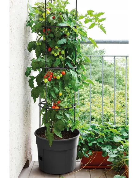 Doniczka do uprawy pomidorów 12L