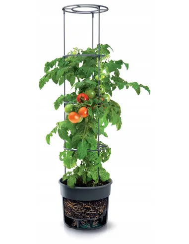 Doniczka do uprawy pomidorów 12L