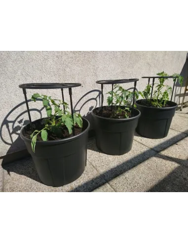 Doniczka do uprawy pomidorów 12L