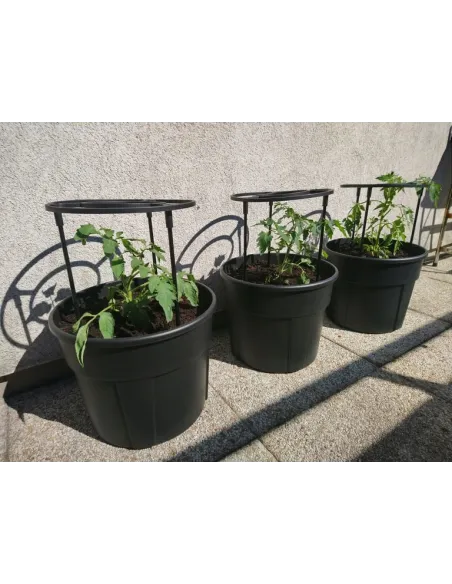 Doniczka do uprawy pomidorów 12L