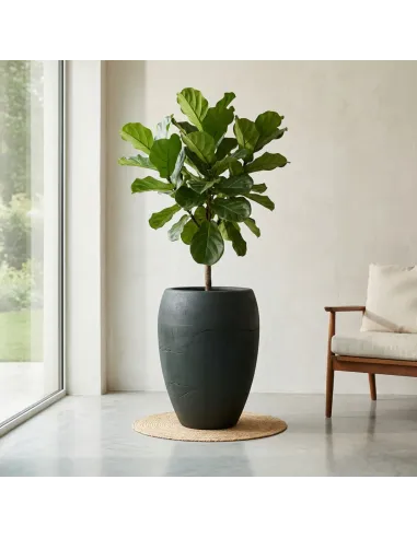Donica ogrodowa 54 cm w kolorze węgiel – elegancka osłonka na taras, balkon