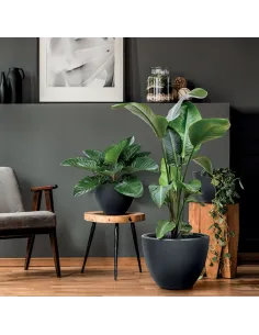 HERA mrozoodporna doniczka na kwiaty 47 l Ø 46,9 cm 2