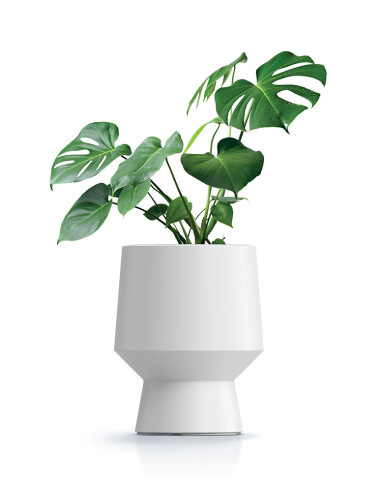 Doniczka z wkładem Hera 30 cm - antracyt