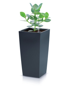 Doniczka donica skrzynka na kwiaty Uran 32,5 cm - antracytowa 2