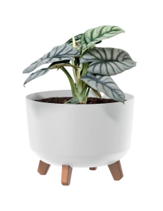 Doniczka z nóżkami Gracja 20 cm - biała 2
