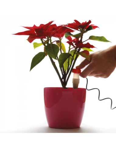 Nawadniacz roślin doniczkowych - dozownik wody do doniczek 2 sztuki