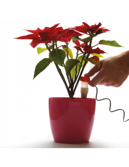 Nawadniacz roślin doniczkowych - dozownik wody do doniczek 2 sztuki