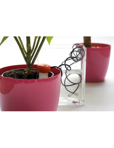 Nawadniacz roślin doniczkowych - dozownik wody do doniczek 2 sztuki