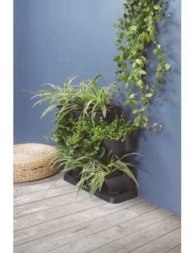 Zielona ściana - zestaw doniczek wertykalnych z możliwością łączenia