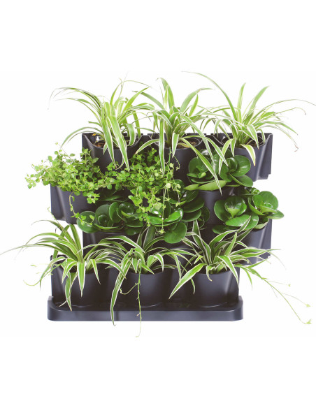 Zielona ściana - zestaw doniczek wertykalnych z możliwością łączenia