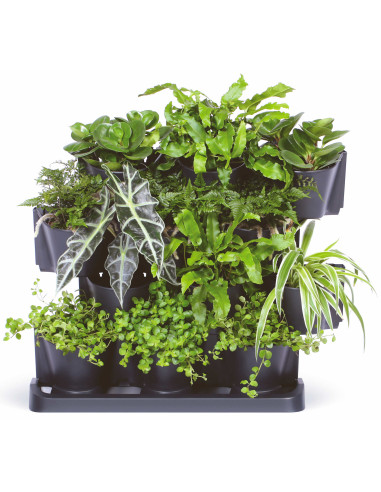 Zielona ściana - zestaw doniczek wertykalnych z możliwością łączenia