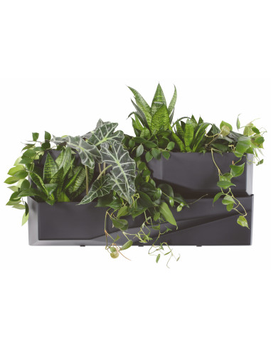 Zielona ściana - zestaw 2 donic kaskadowych z opcją łączenia