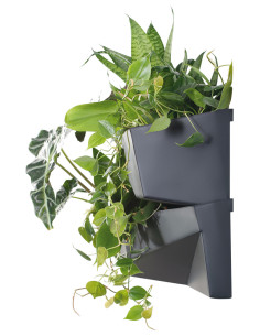 Zielona ściana - zestaw 2 donic kaskadowych z opcją łączenia 2