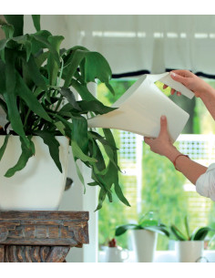 Konewka ogrodowa 2L - antracyt 2