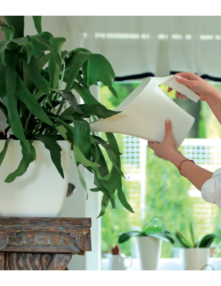 Konewka ogrodowa 2L - antracyt