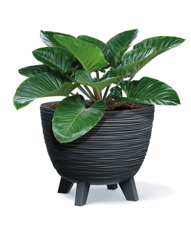 Doniczka okrągła z nóżkami Forum 39,5 cm - antracytowa