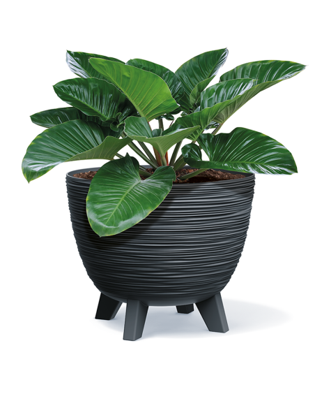 Doniczka okrągła z nóżkami Forum 39,5 cm - antracytowa