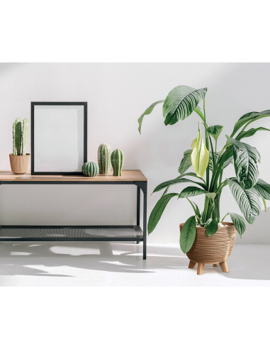 Doniczka okrągła Forum 23,6 cm - wood