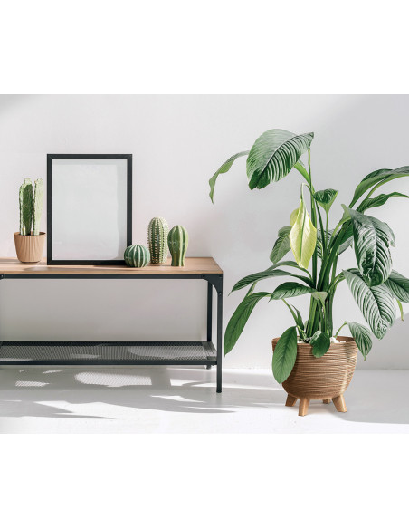 Doniczka okrągła Forum 23,6 cm - wood