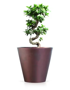 Doniczka tuba 37,3 cm - stal kortenowska 2