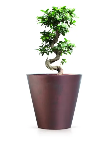 Doniczka tuba 37,3 cm - stal kortenowska