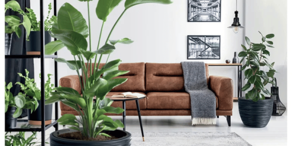 Doniczki Forum – Stylowe donice z nóżkami, które pokochasz