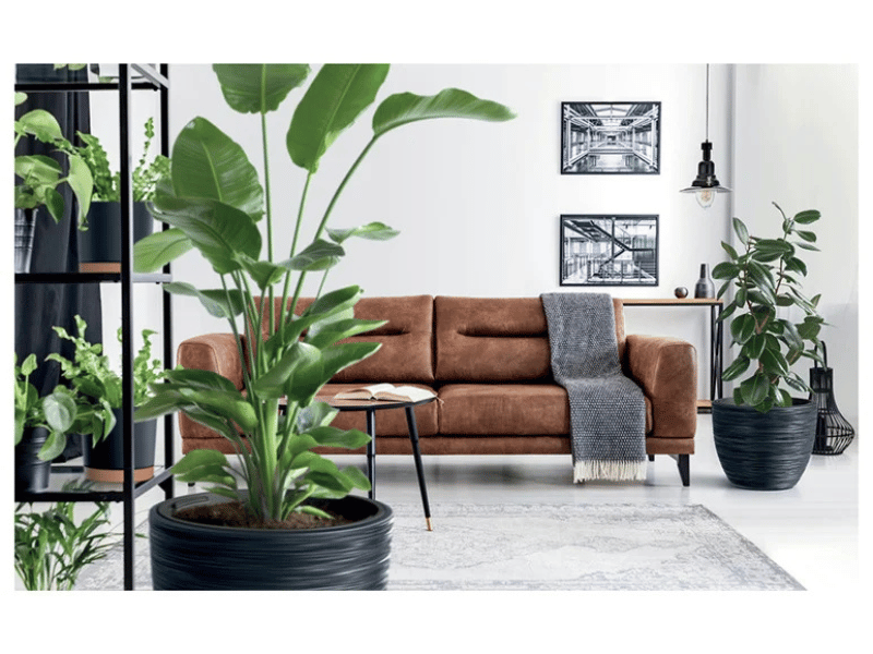 Doniczki Forum – Stylowe donice z nóżkami, które pokochasz